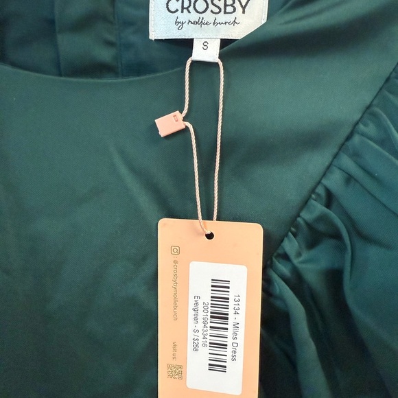 CROSBY by Mollie Burch Miles Green Ruffled Front Dress - Picture 6 of 7